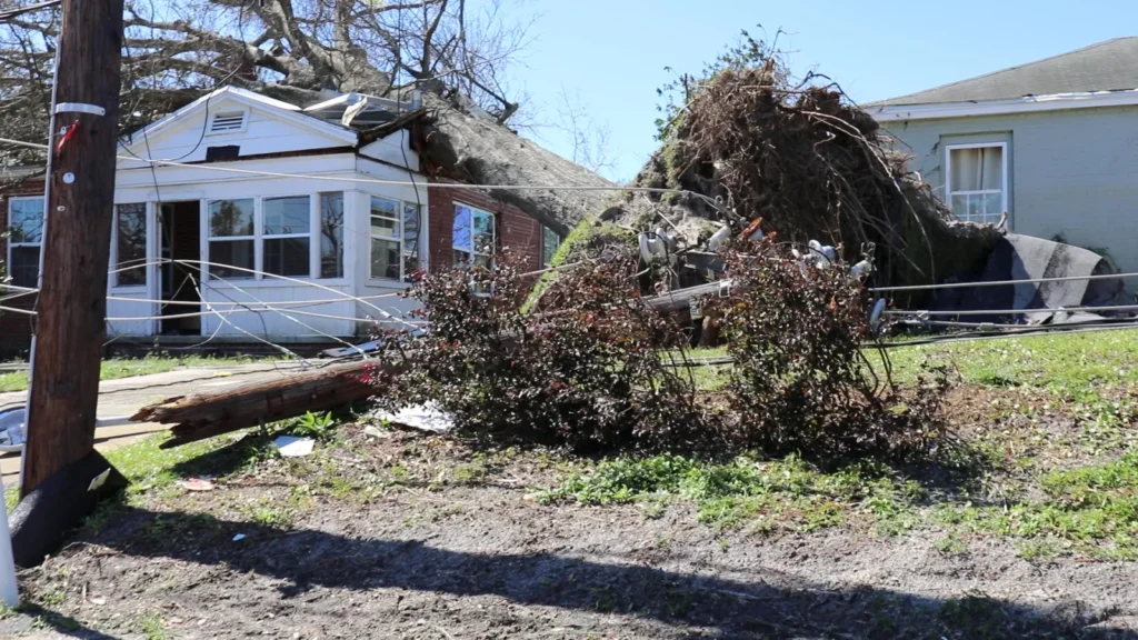 Reclamo de seguro por huracán en Florida: un árbol caído dañó una casa en Panama City
